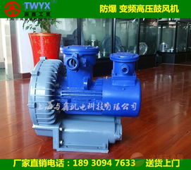 化工設備專用防爆風機 防爆高壓鼓風機