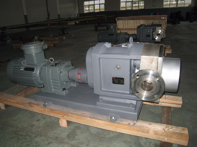 普利施65PLST6-10 日用化工轉(zhuǎn)子泵,甘油、化妝品料漿輸送泵 價(jià)格優(yōu)惠歡迎咨詢圖片_高清圖_細(xì)節(jié)圖-江蘇普利施泵業(yè) -